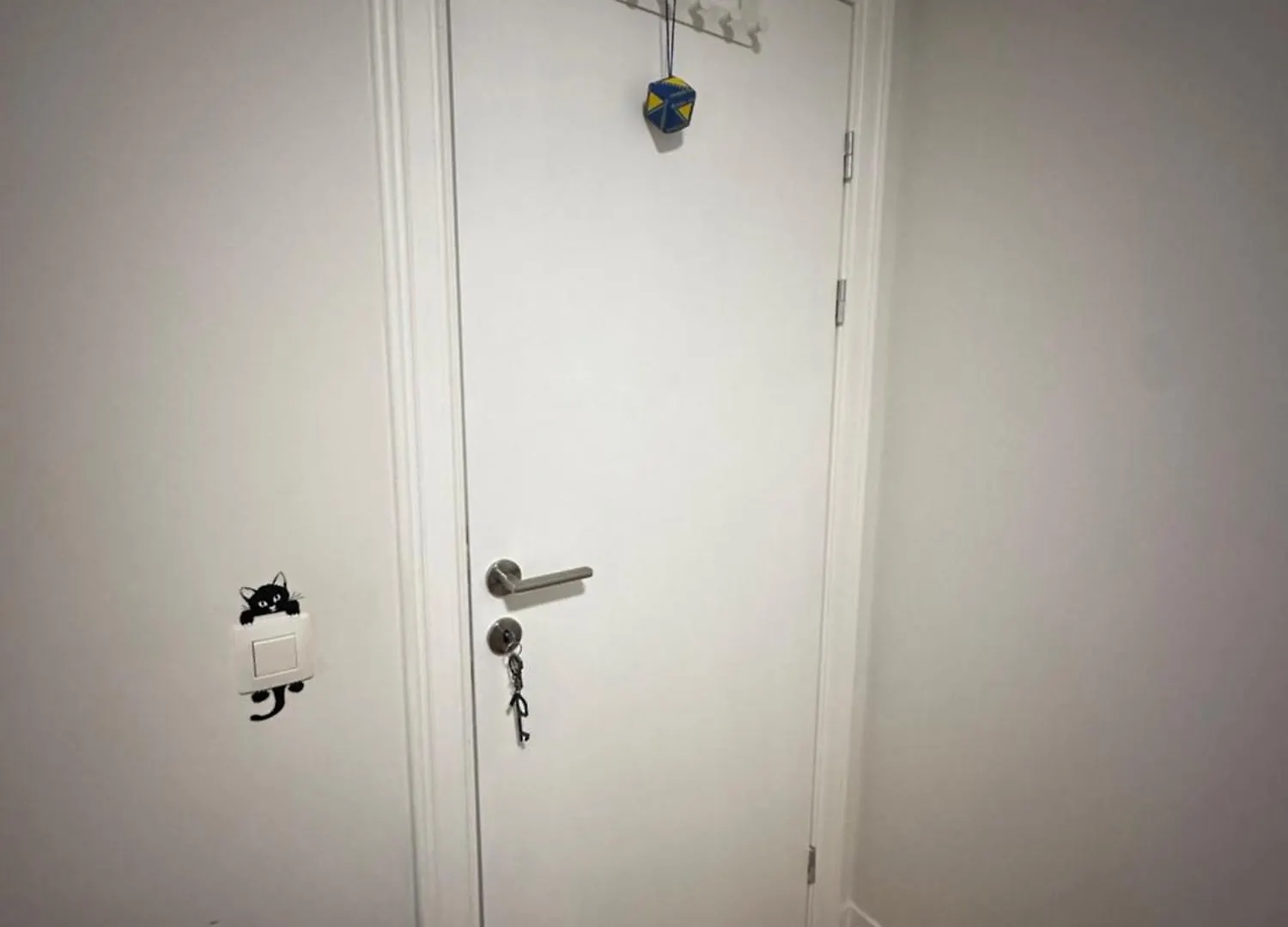 Homestay Alexanor Cosy Private Room In A Shared Apartment Brussels